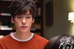 魏哲鸣《完美先生与差不多小姐》走红，30岁逆袭男主路