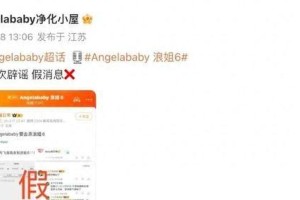 马丽回应未参加浪姐6：不敢跳，等沈腾先上
