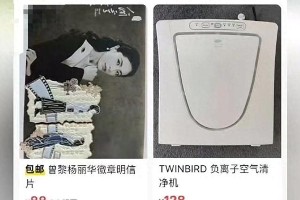 赵露思争议事件与抑郁症风波全解析