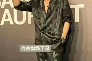 向佐：帅气外形与正能量的魅力偶像